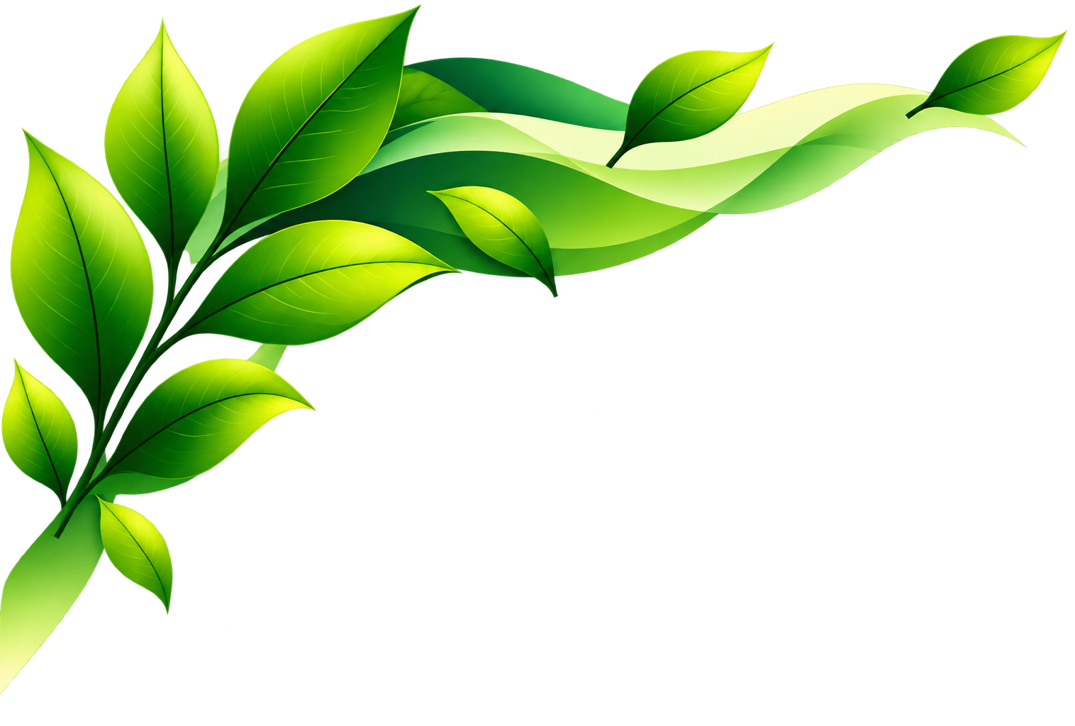 overlay image