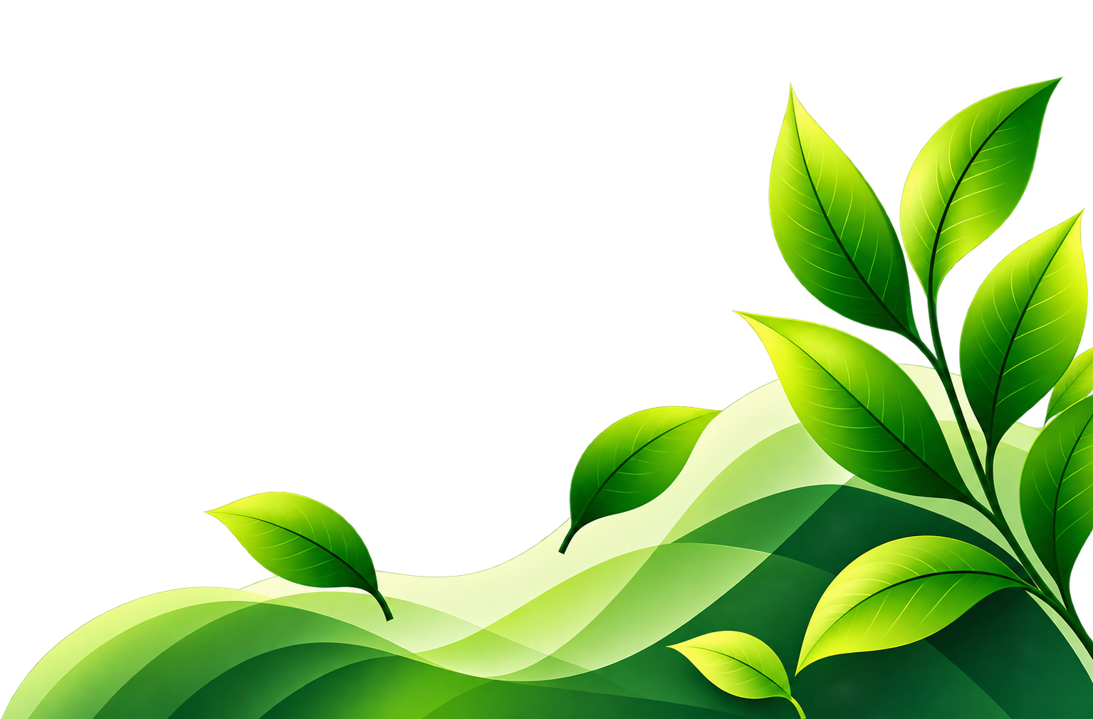overlay image
